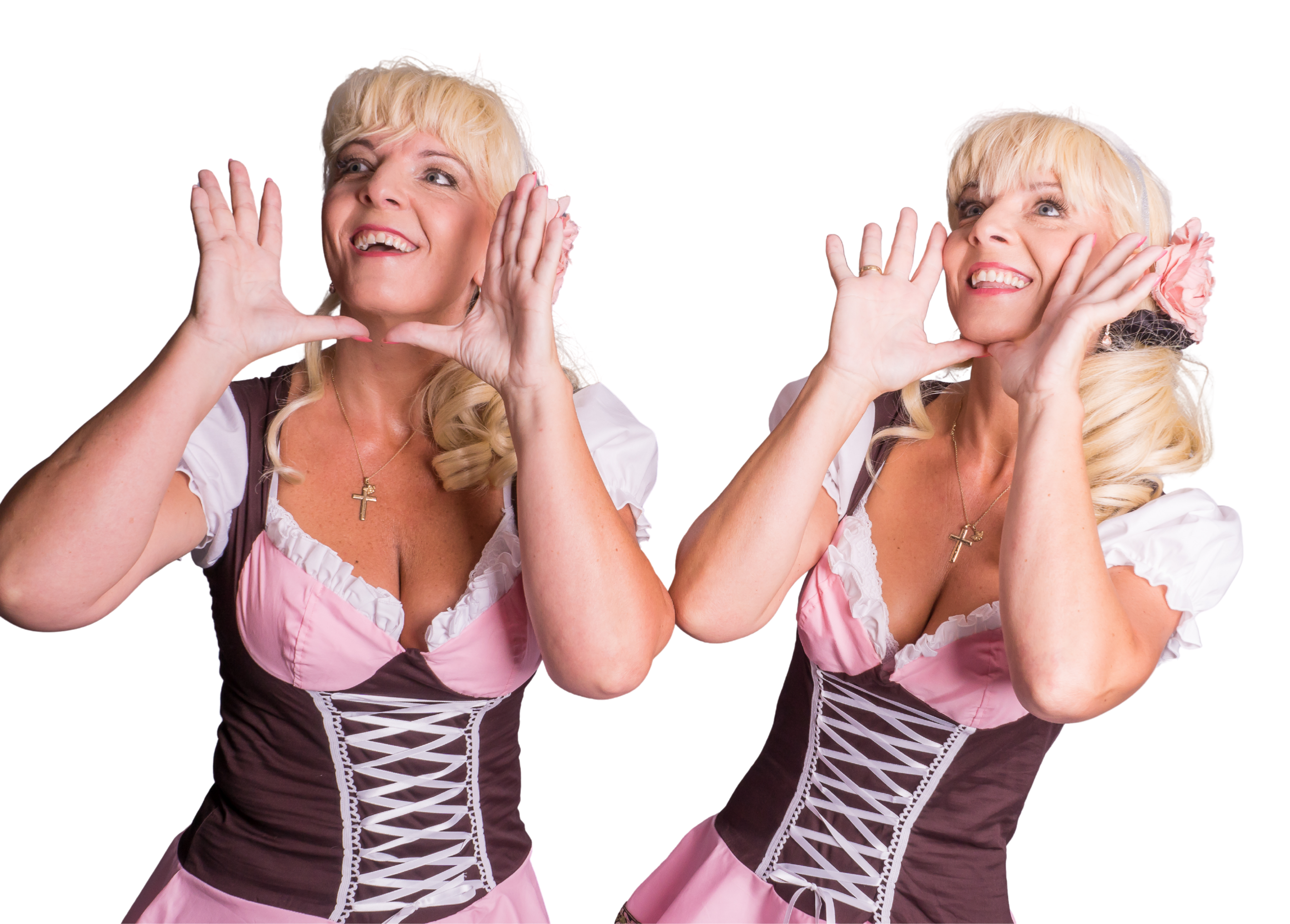 Die Zwillingsherzen